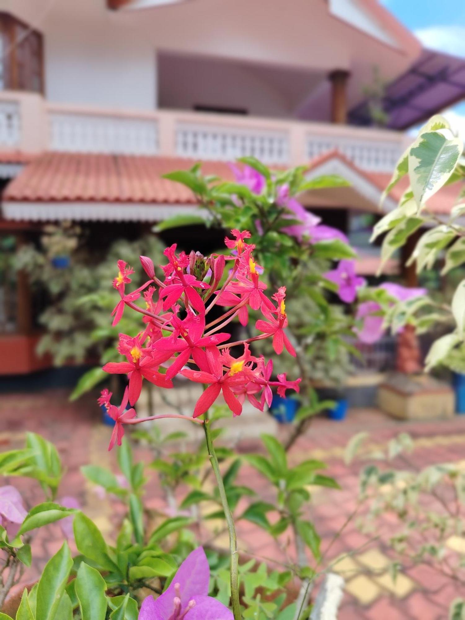 Shivalaya Homestay, Madikeri Siddapura  Exterior foto