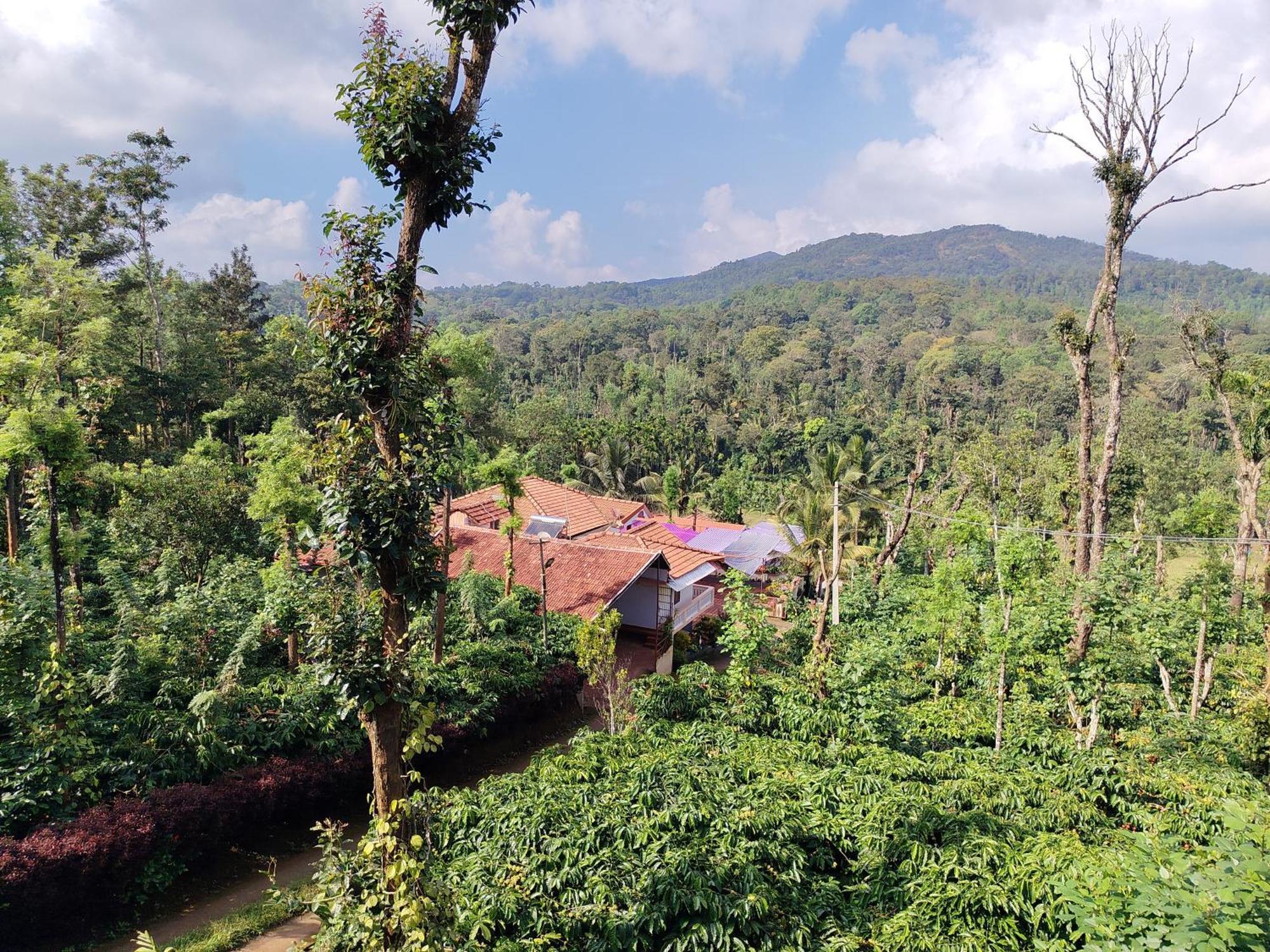 Shivalaya Homestay, Madikeri Siddapura  Exterior foto
