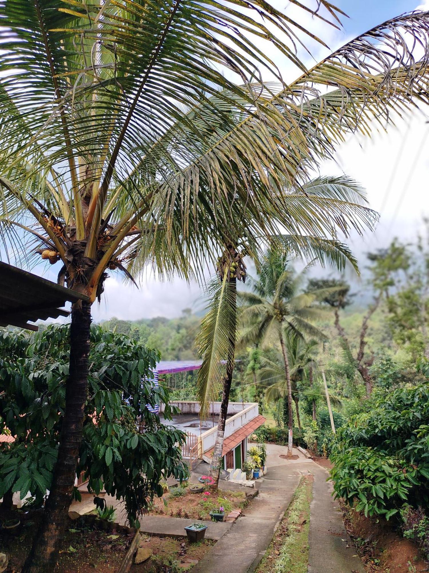 Shivalaya Homestay, Madikeri Siddapura  Exterior foto